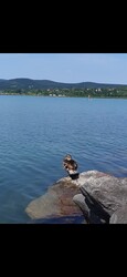 Balatonfüred