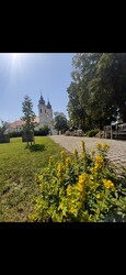 Balatonfüred
