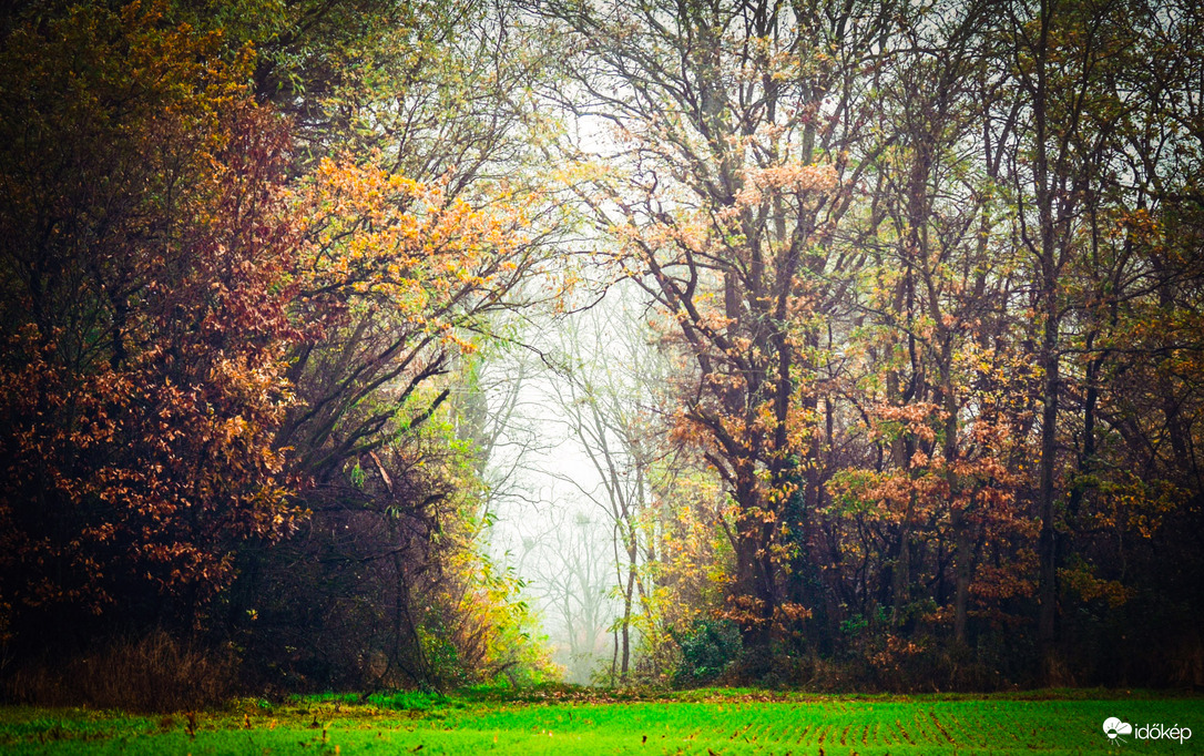 Őszi reggelen