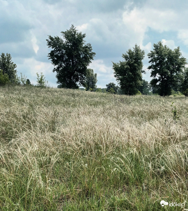 Sződliget