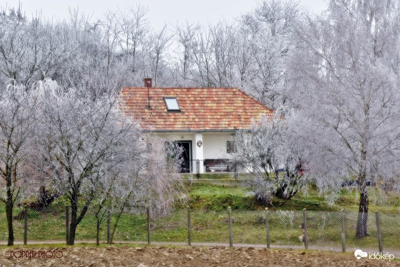 Zúzmara takaró.