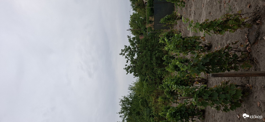 Dunapataj