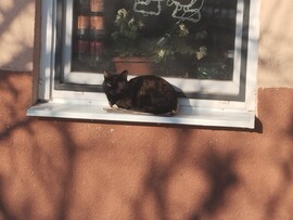 Budapest XX.ker - Pesterzsébet