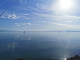 Balatonaliga