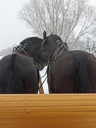 Zakopane, advent