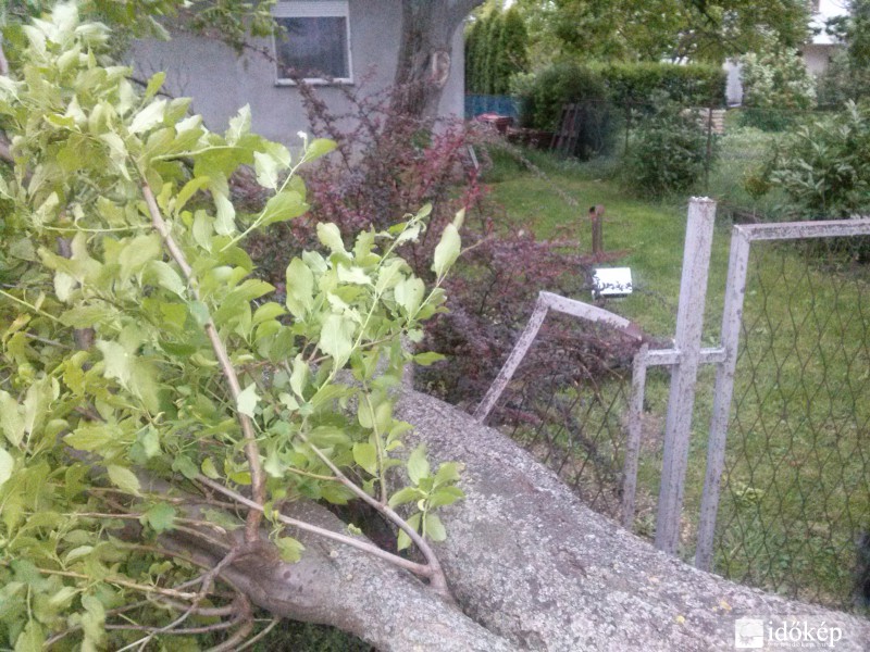 fa dőlt a kerítésre