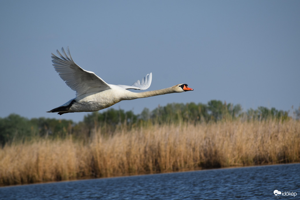 Alacsonyan és közel
