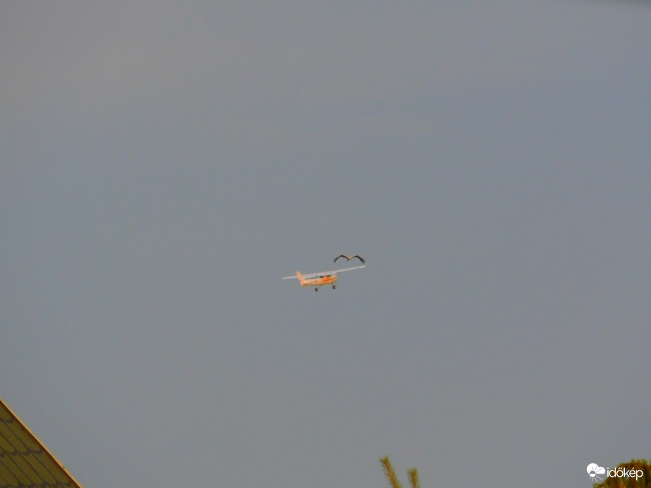 Cessna és a Gólya találkozik.
