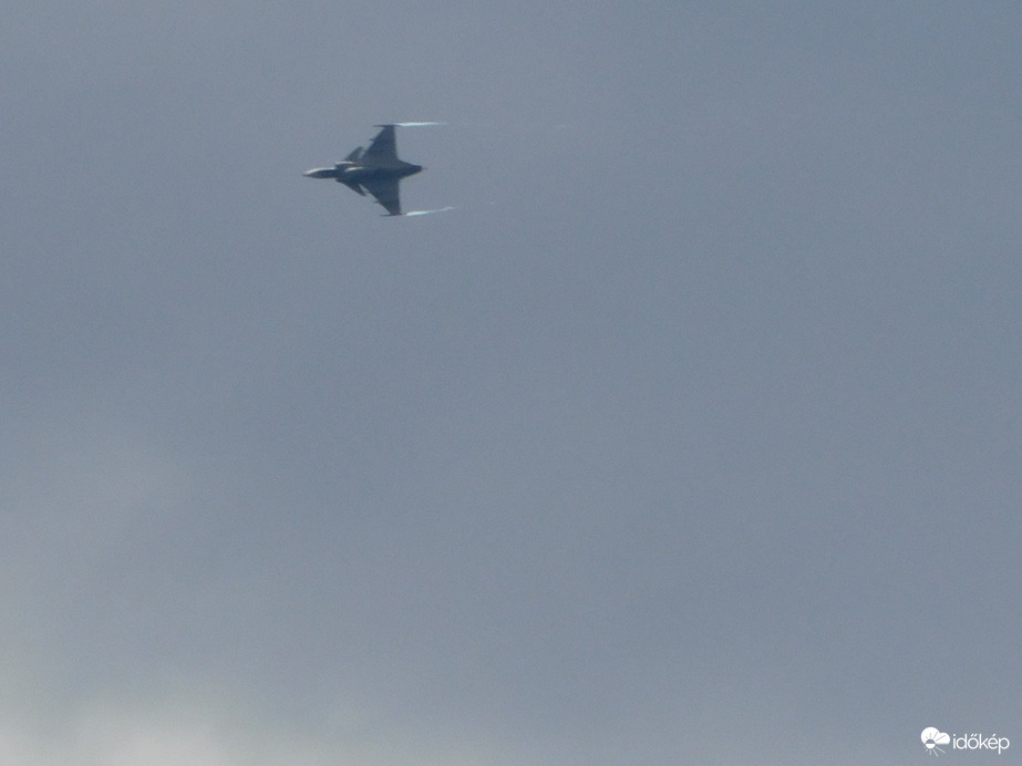 Jas-39C Gripen.