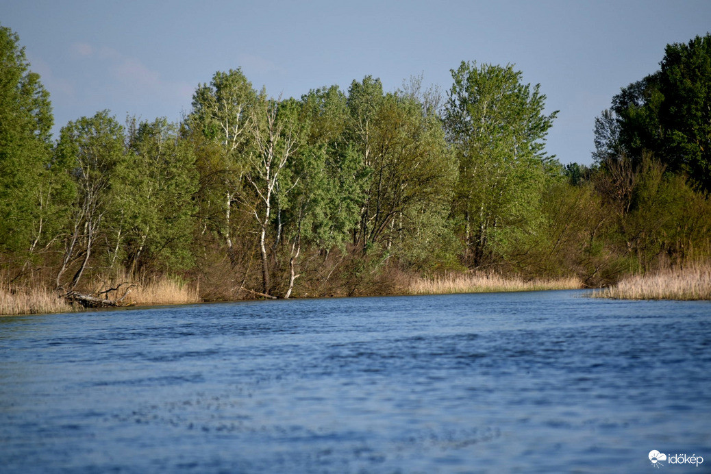 Tisza-tó