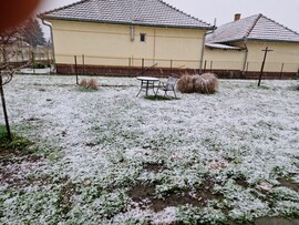 Pusztavacs