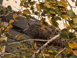 Megsértődtem rád se nézek:D