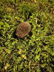 Esti látogató:)♡