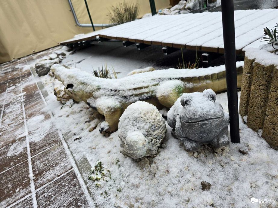 Téli kerti tó látkép:)