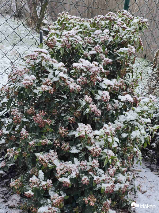 Idei év talán utolsó hava