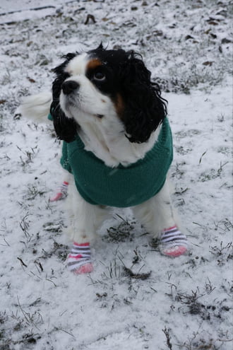 Élvezem a havat:)♡