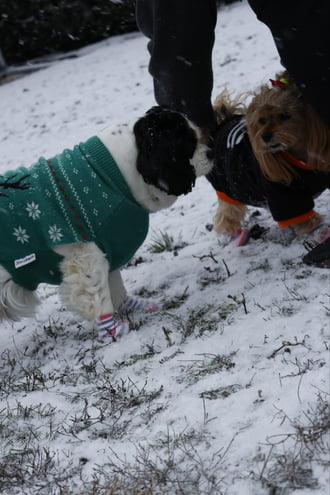 Élvezzük a havat:)♡