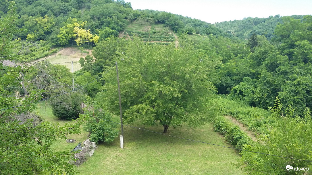 Bagó-völgy