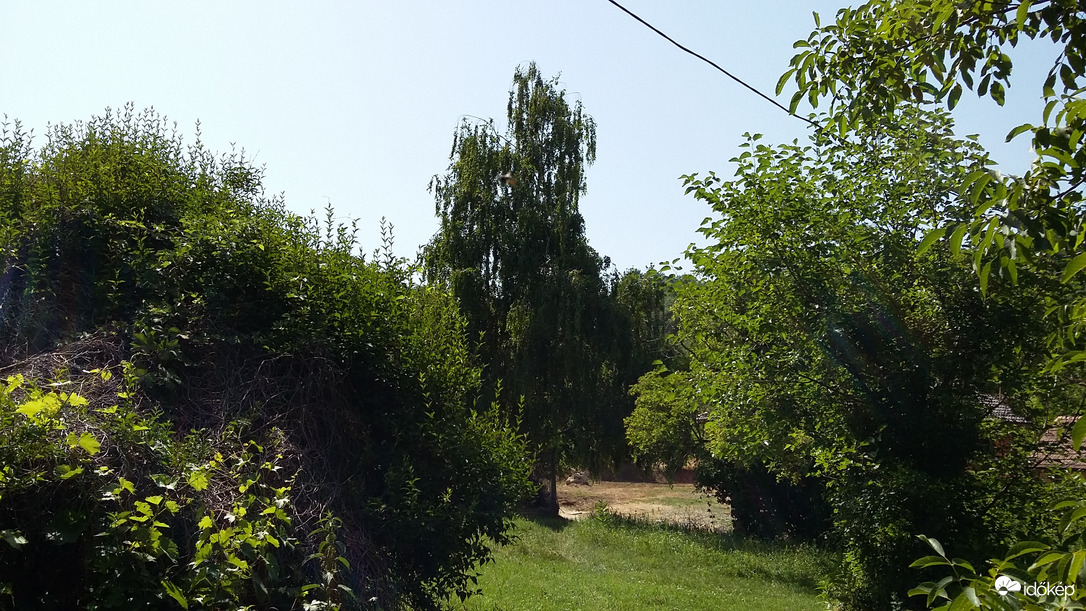 Bagó-völgy