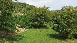 Bagó-völgy