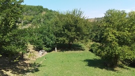Bagó-völgy