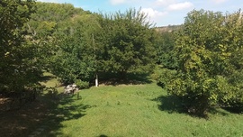 Bagó-völgy