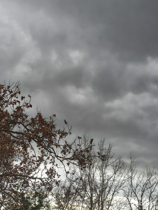 Budapest XV.ker - Pestújhely