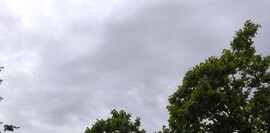 Budapest XV.ker - Pestújhely