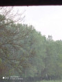 Csemő