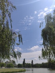 Székesfehérvár