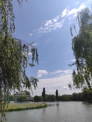 Székesfehérvár