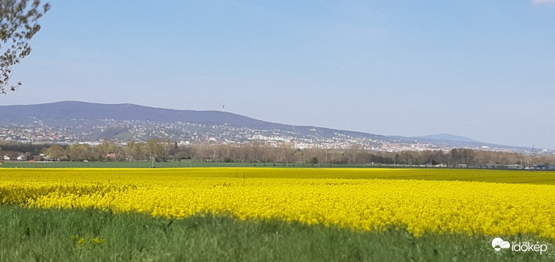 Repcemező és a Mecsek