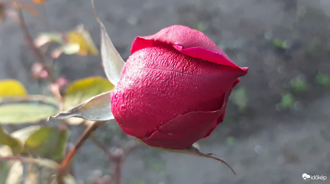 Eső és hó után - úgy tűnik megvárja a tavaszt