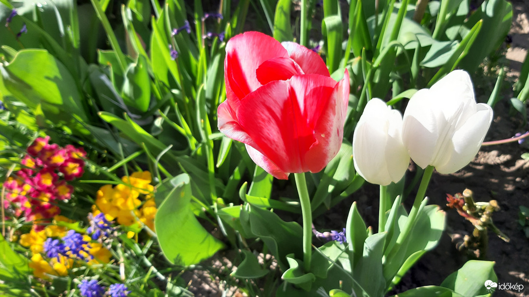 Húsvét reggel. Áldott, örömteli ünnepet kívánok!