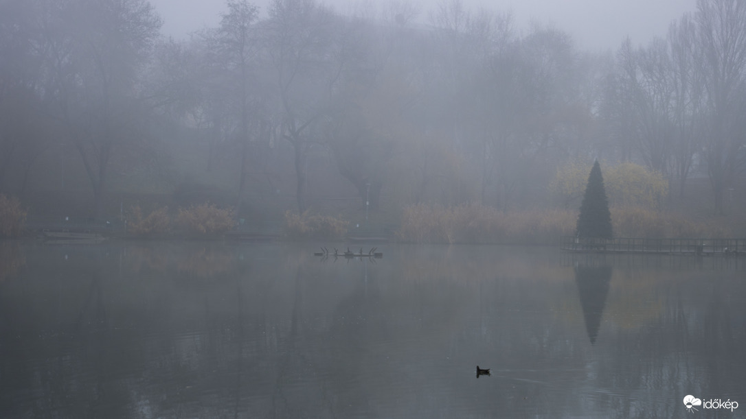 Ködös Reggel