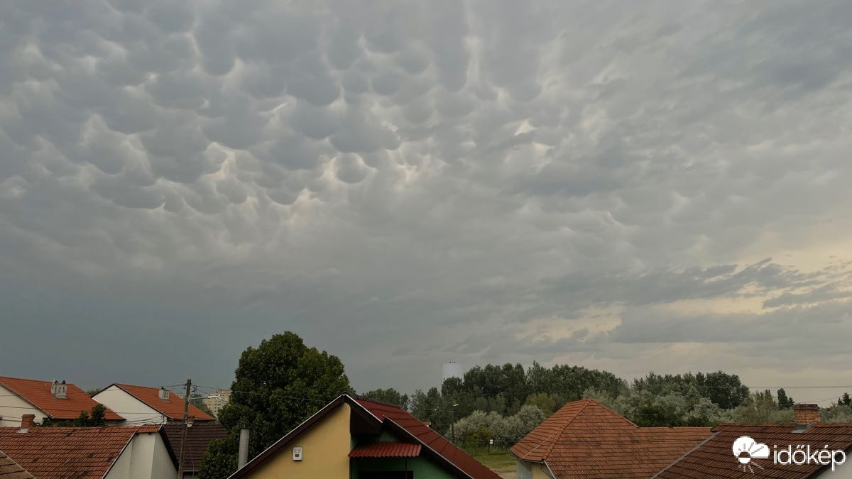 Kiskunfélegyháza