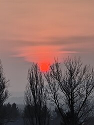 Herend
