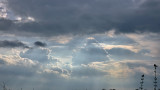 Pileus