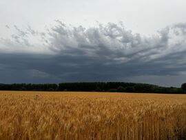 Győrladamér