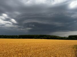 Győrladamér