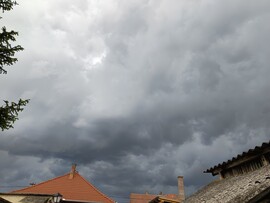 Sásd