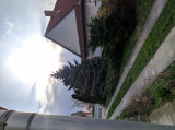Székesfehérvár