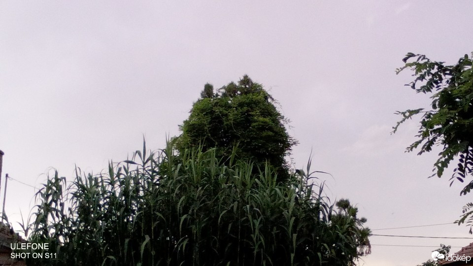 Cibakháza