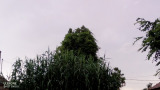 Cibakháza