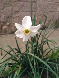 Cibakháza