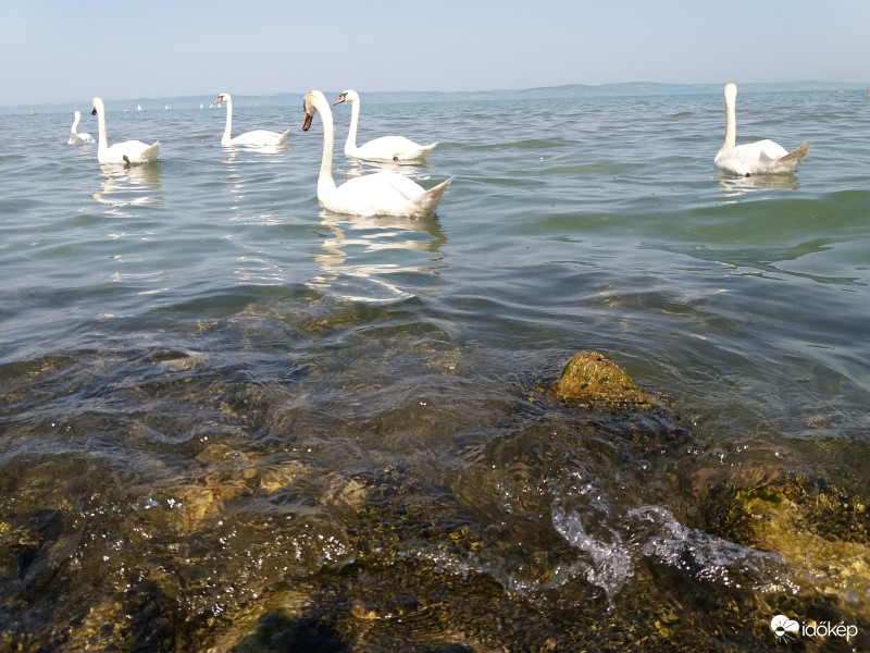 Balaton