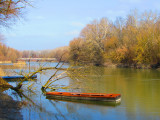 Duna holtág