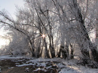 Egy ragyogó  téli nap
