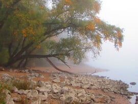 Ködös Duna-part 
