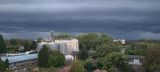 Gyula